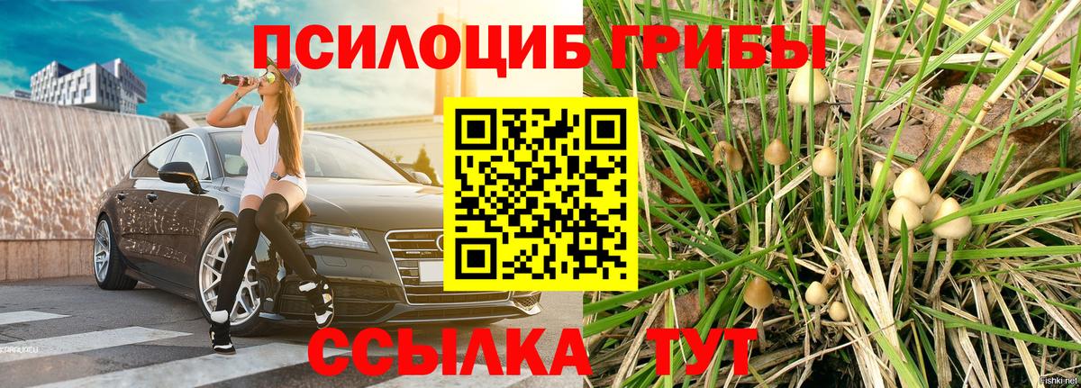 Псилоцибиновые грибы Magic Shrooms Новосибирск
