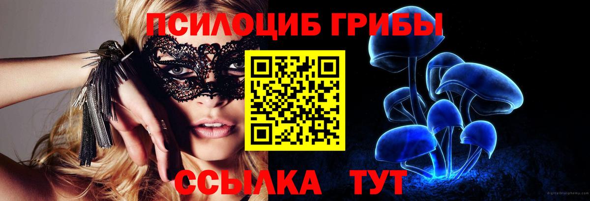 Псилоцибиновые грибы Psilocybine cubensis  Вход с VPN  Галлюциногенные грибы Psilocybine cubensis  Новосибирск 